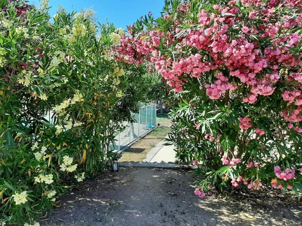 Orasi Sartene Gite Casa Fiurita المظهر الخارجي الصورة