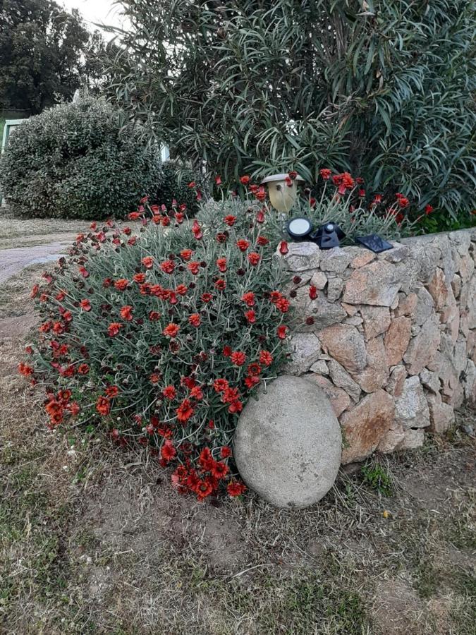 Orasi Sartene Gite Casa Fiurita المظهر الخارجي الصورة