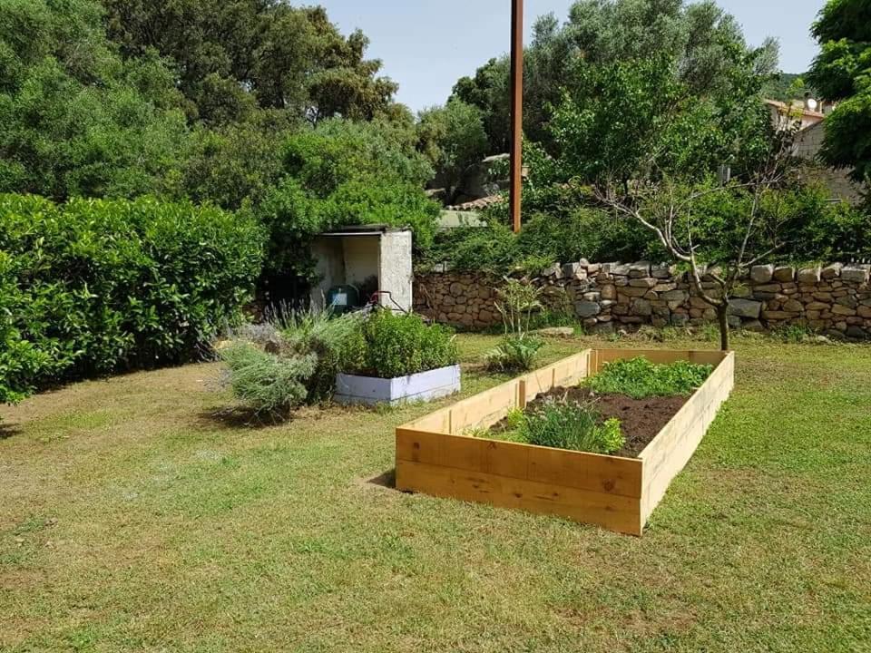Orasi Sartene Gite Casa Fiurita المظهر الخارجي الصورة